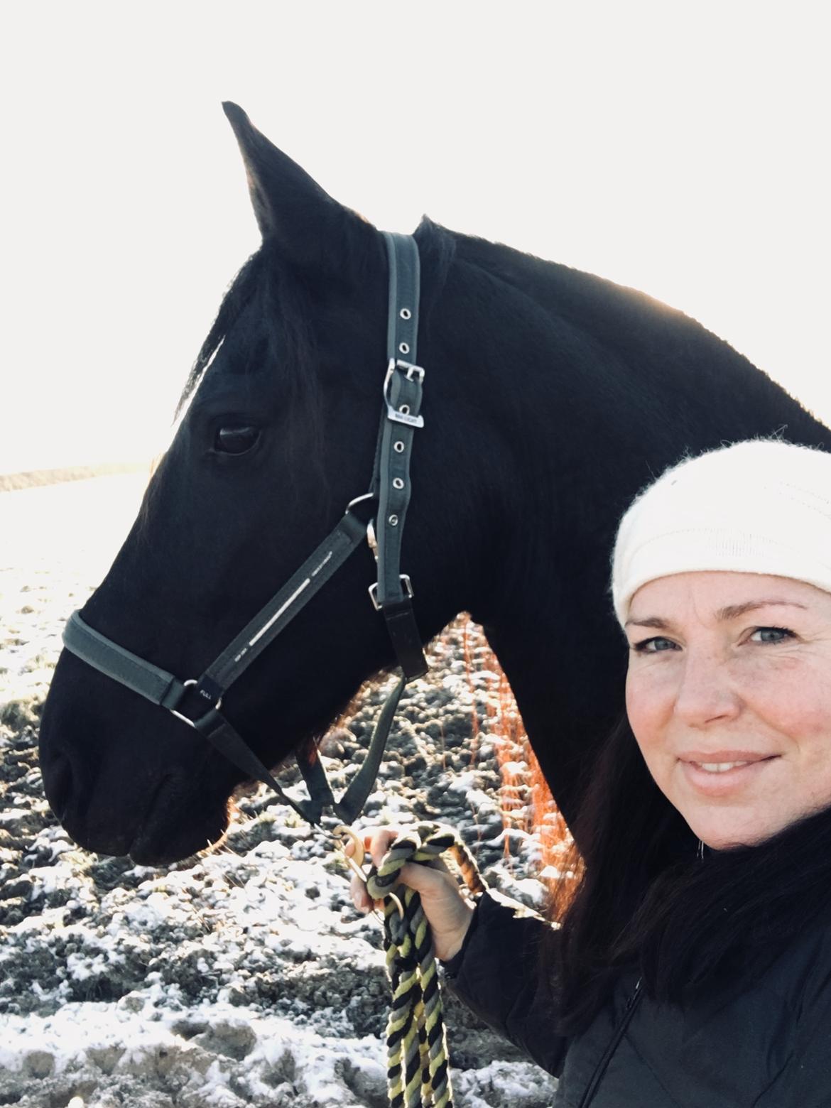 Frieser Yfke V billede 6