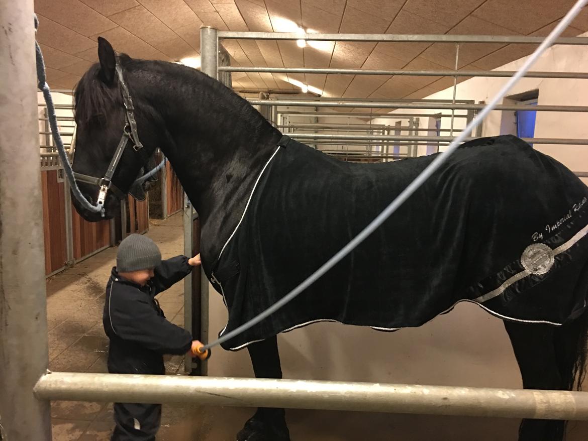 Frieser Yfke V billede 9