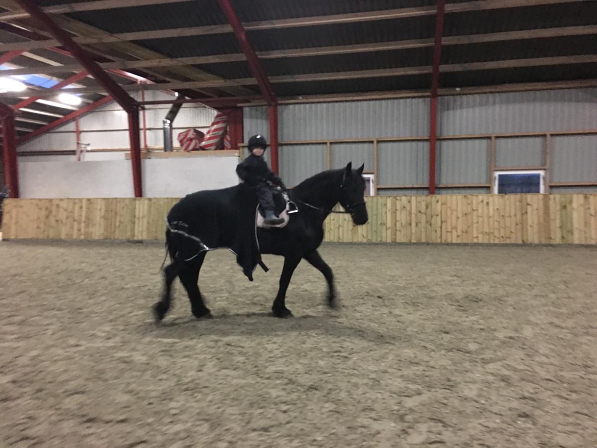 Frieser Yfke V billede 10