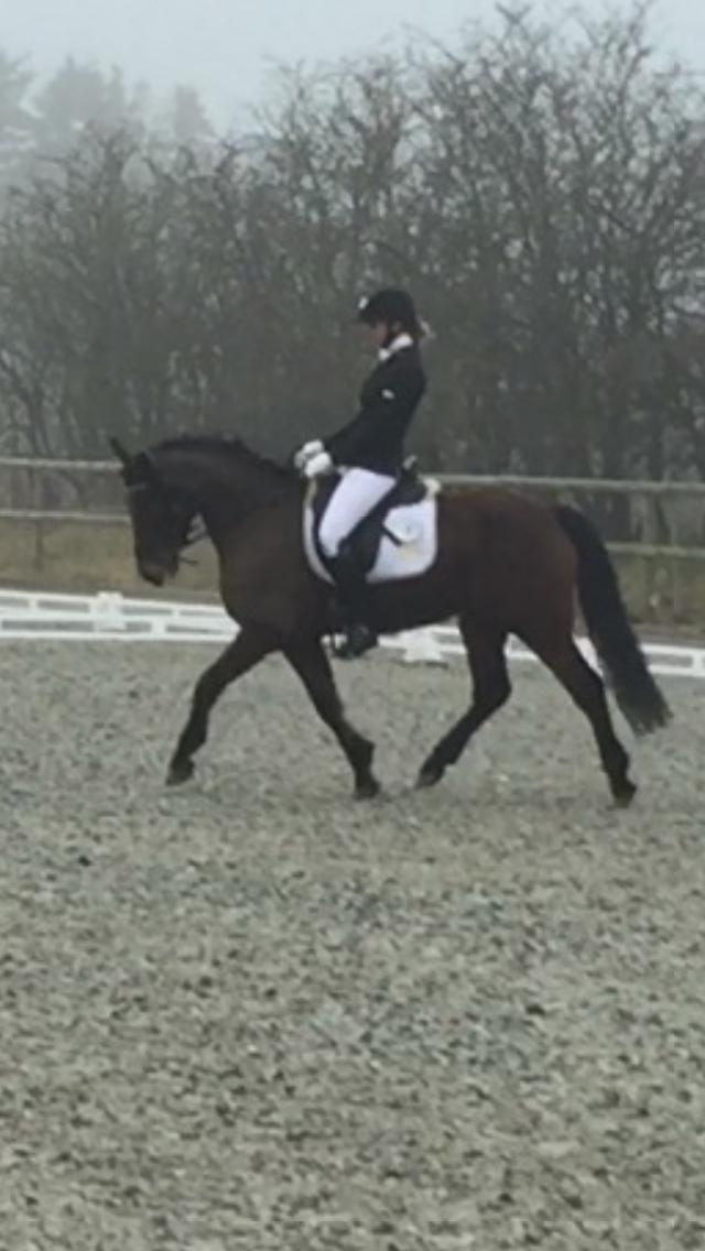 Connemara Medina billede 1