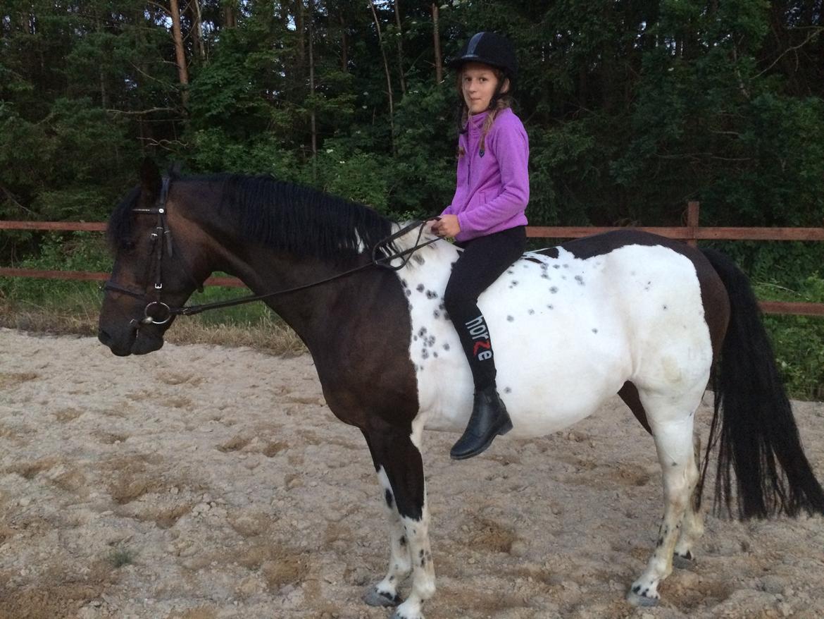 Pinto Nacoma indian billede 22