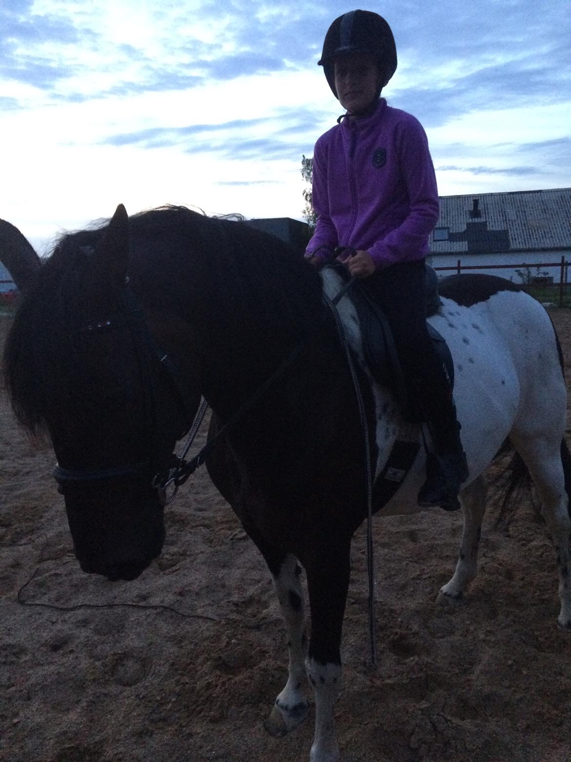 Pinto Nacoma indian billede 23