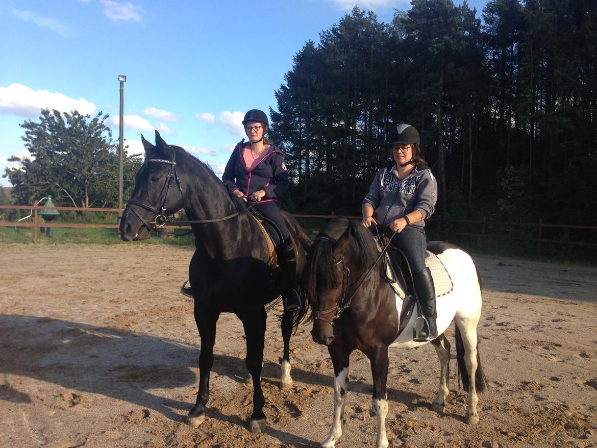 Pinto Nacoma indian billede 25