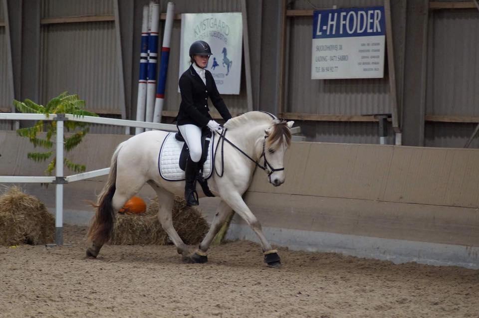 Fjordhest Atom Moskilde - Første stævne sammen, vi vandt med 72,77% <3 :D  billede 9