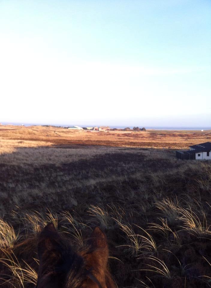 Anden særlig race Bonnie <3 billede 15