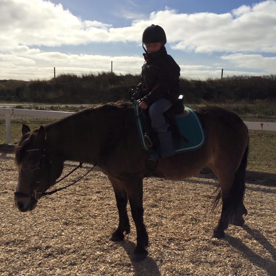 Anden særlig race Bonnie <3 billede 16