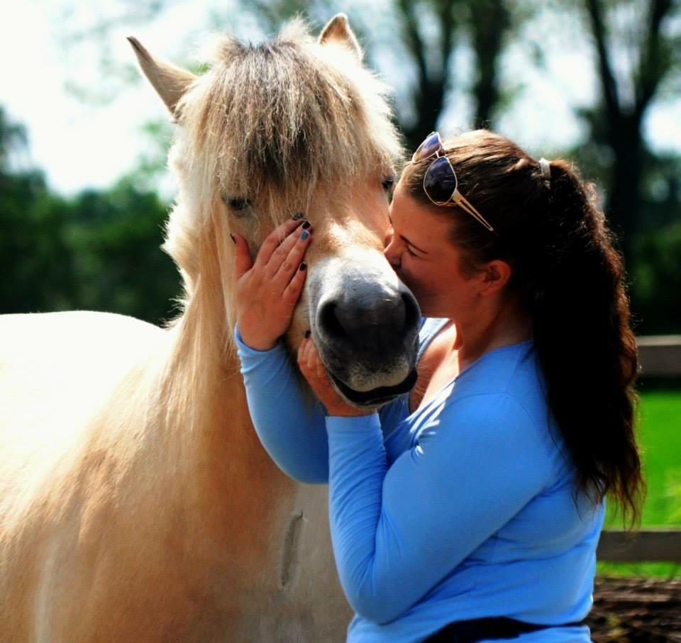 Fjordhest Halfdan <3 billede 36