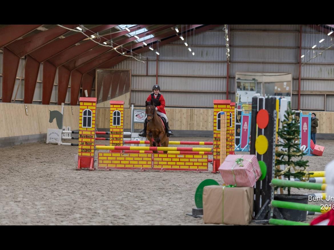 Anden særlig race Freica  billede 7