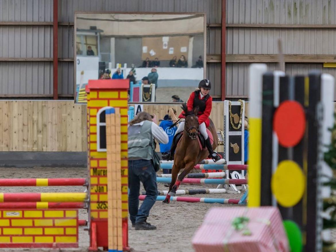 Anden særlig race Freica  billede 8