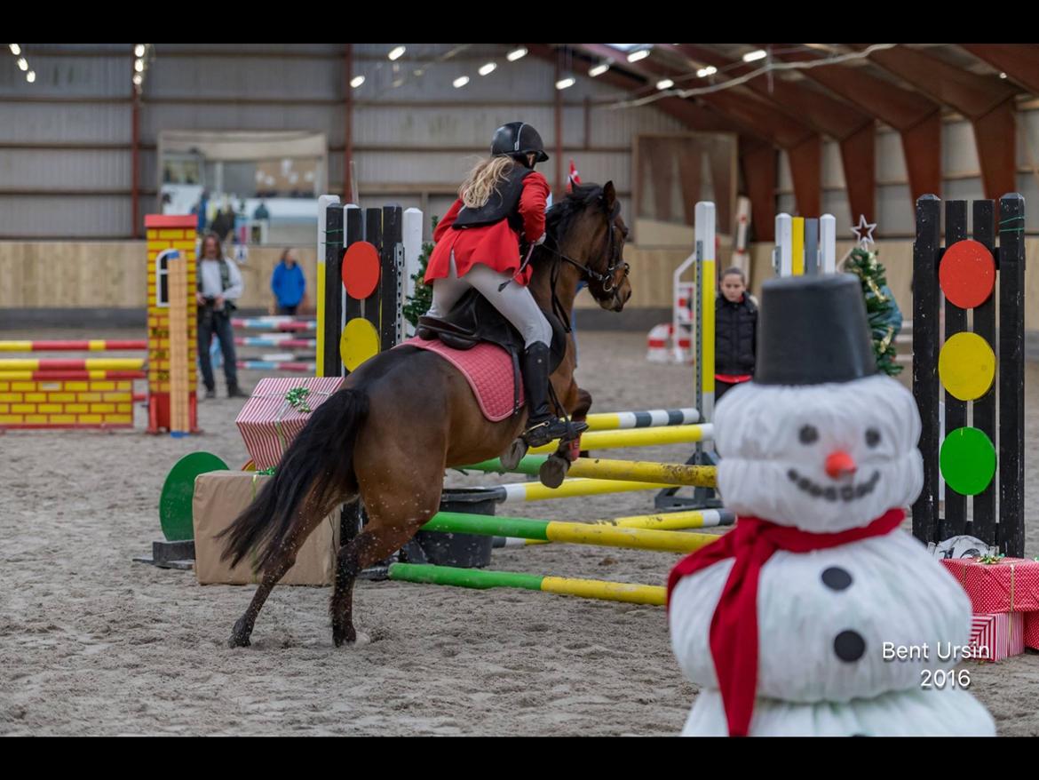 Anden særlig race Freica  billede 5