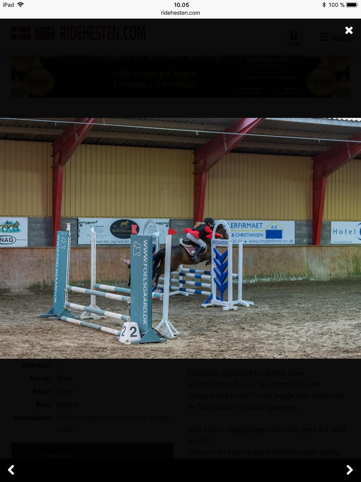 Anden særlig race Freica  billede 9