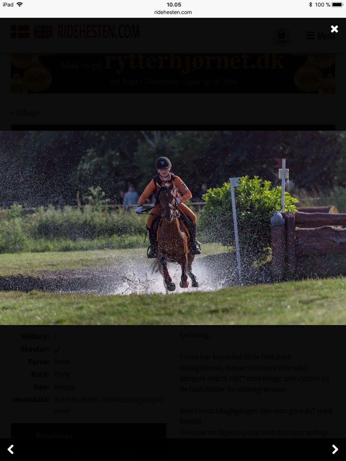 Anden særlig race Freica  billede 12