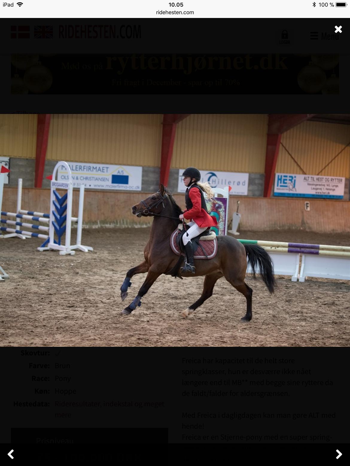 Anden særlig race Freica  billede 13