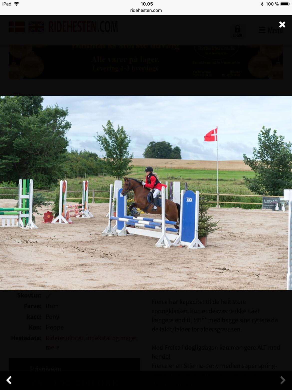 Anden særlig race Freica  billede 14