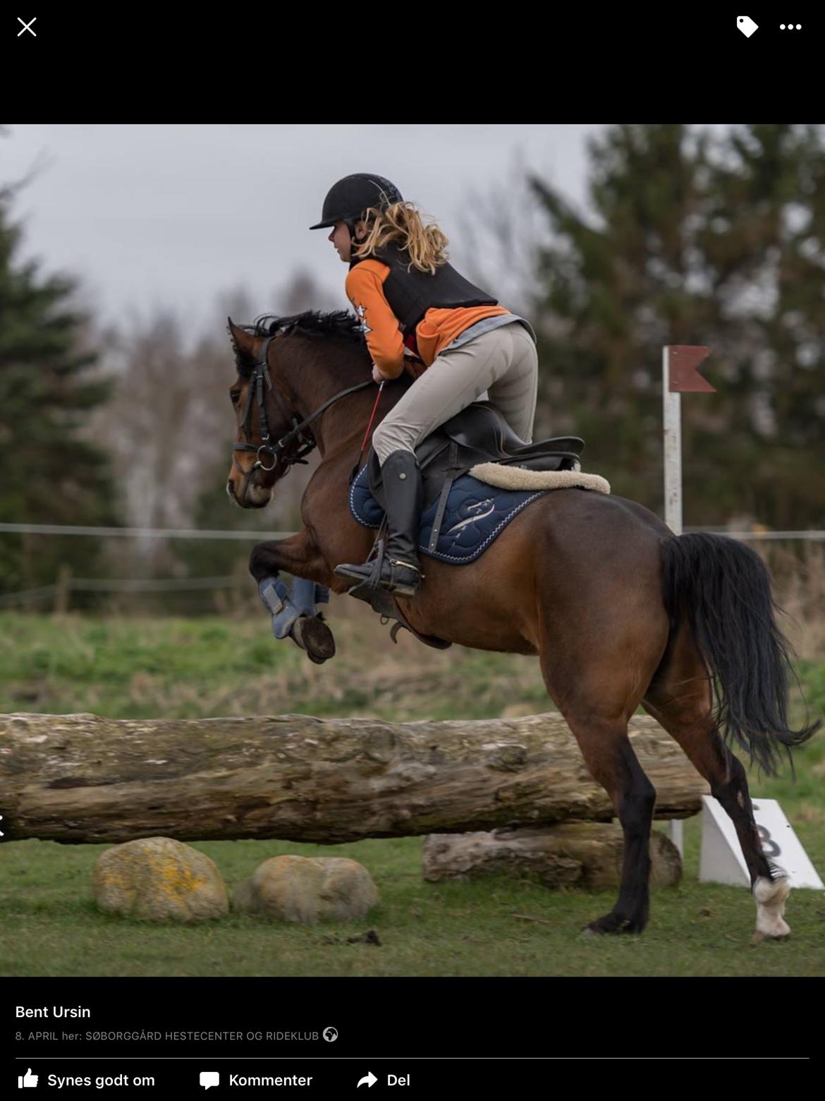 Anden særlig race Freica  billede 15