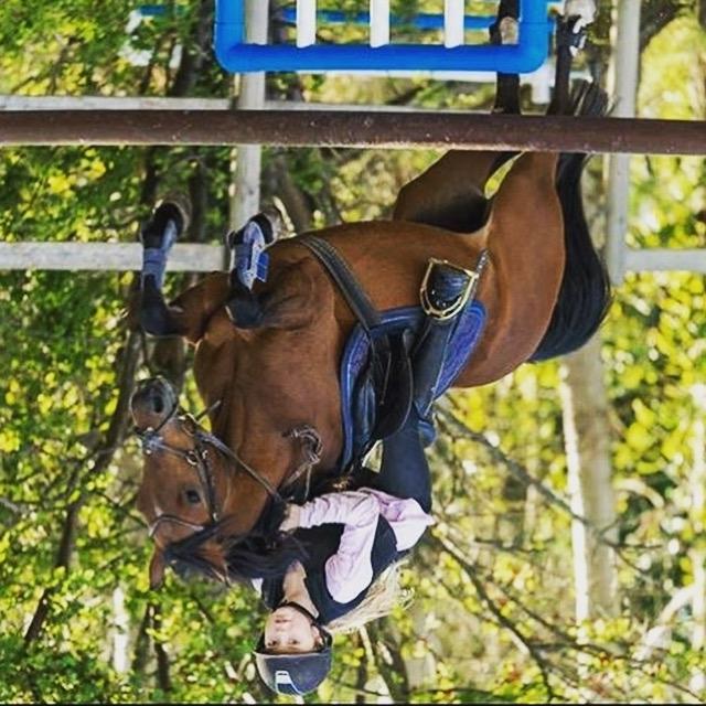 Anden særlig race Freica  billede 3