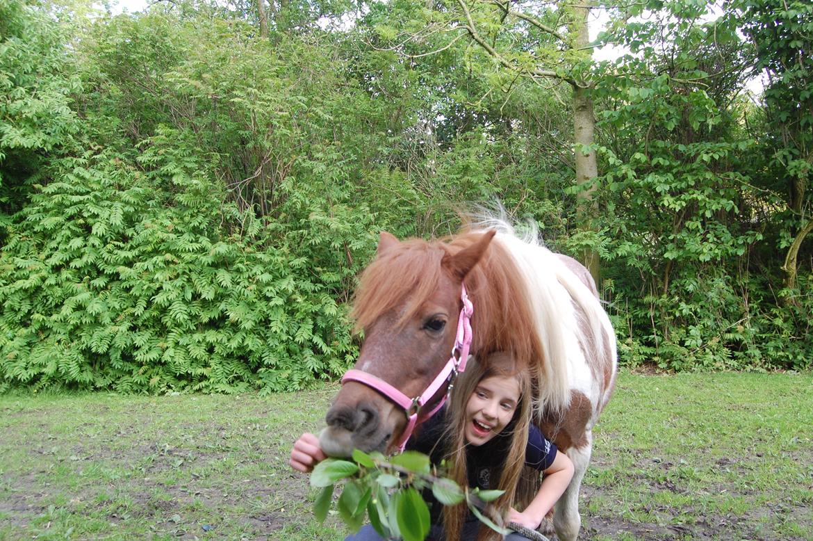 Anden særlig race Lucky Surprice billede 5