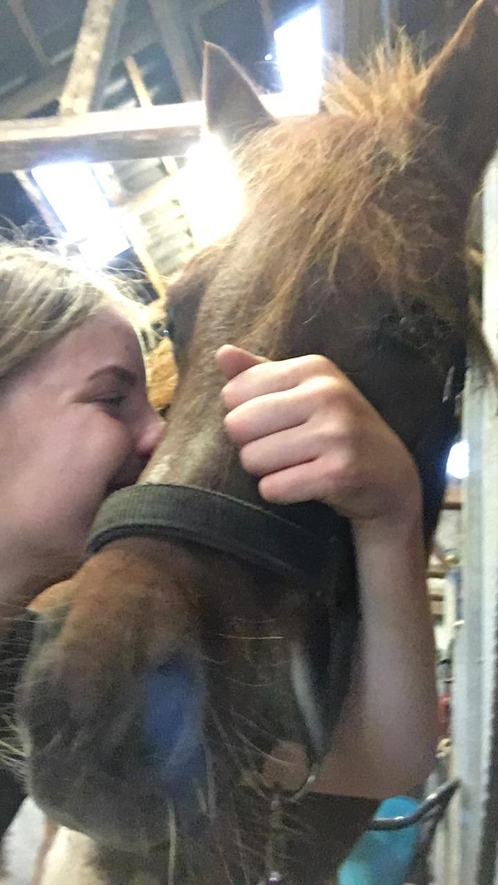 Anden særlig race Lucky Surprice billede 6