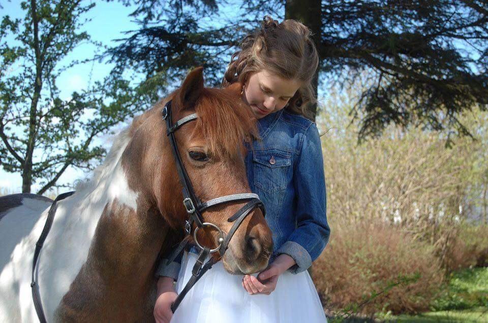 Anden særlig race Lucky Surprice billede 7