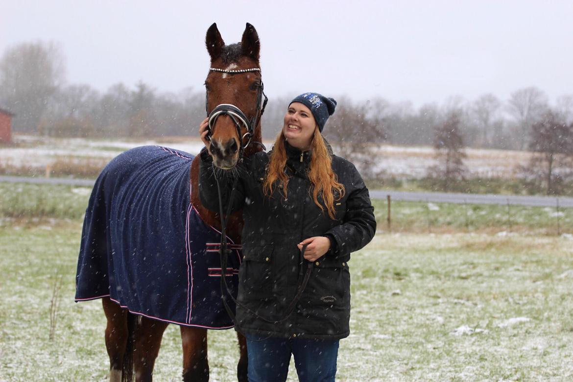 Dansk Varmblod Ørstedslunds Lucky Lady - NYT: Lady og mig i sneen (Taget af Photos by Katrine) billede 1