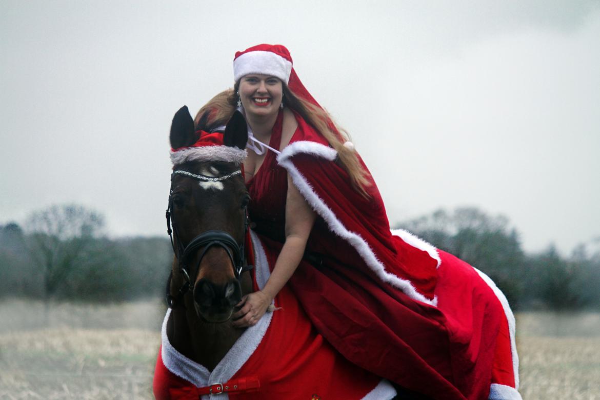 Anden særlig race Dalvangs Casper - Glædelig Jul <3 billede 9