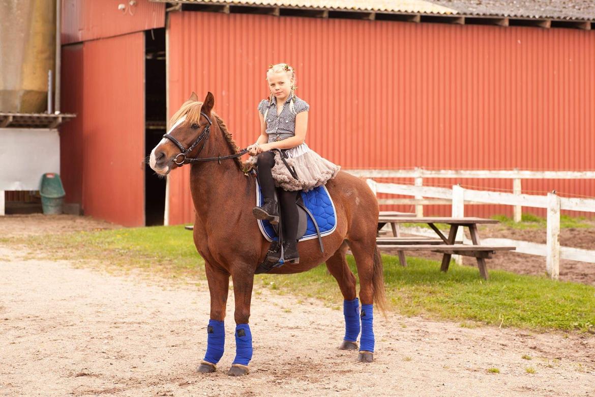 Anden særlig race Tjalfe<3 r.i.p 2021<3 billede 1