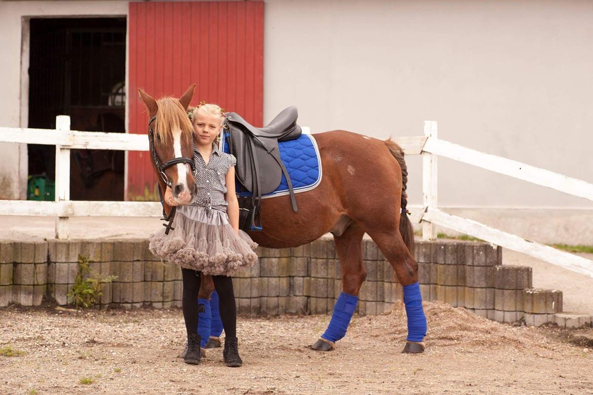 Anden særlig race Tjalfe<3 r.i.p 2021<3 billede 4