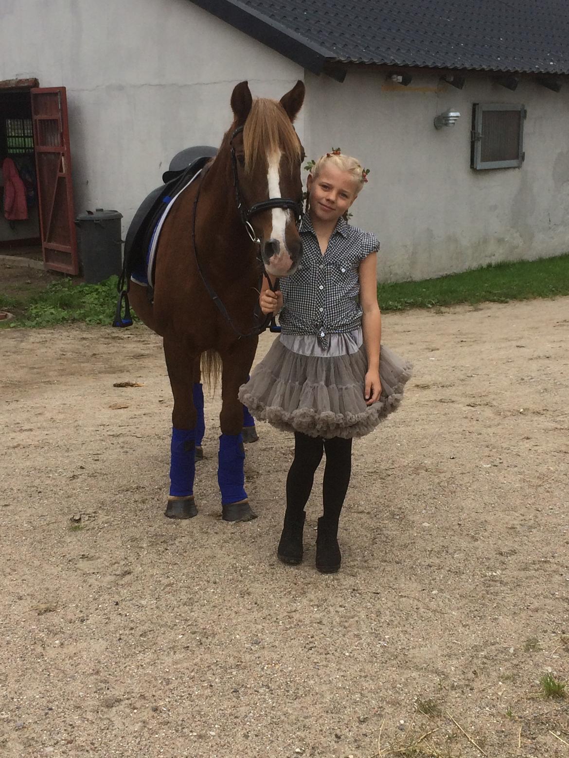 Anden særlig race Tjalfe<3 r.i.p 2021<3 billede 3