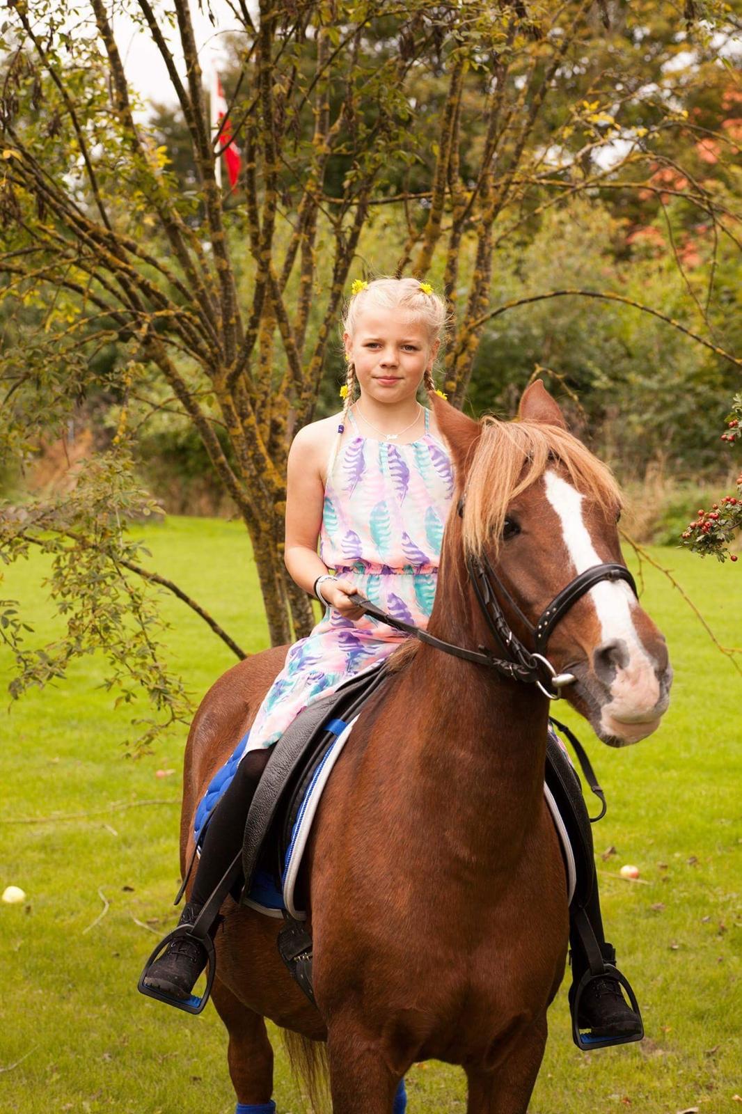 Anden særlig race Tjalfe<3 r.i.p 2021<3 billede 5