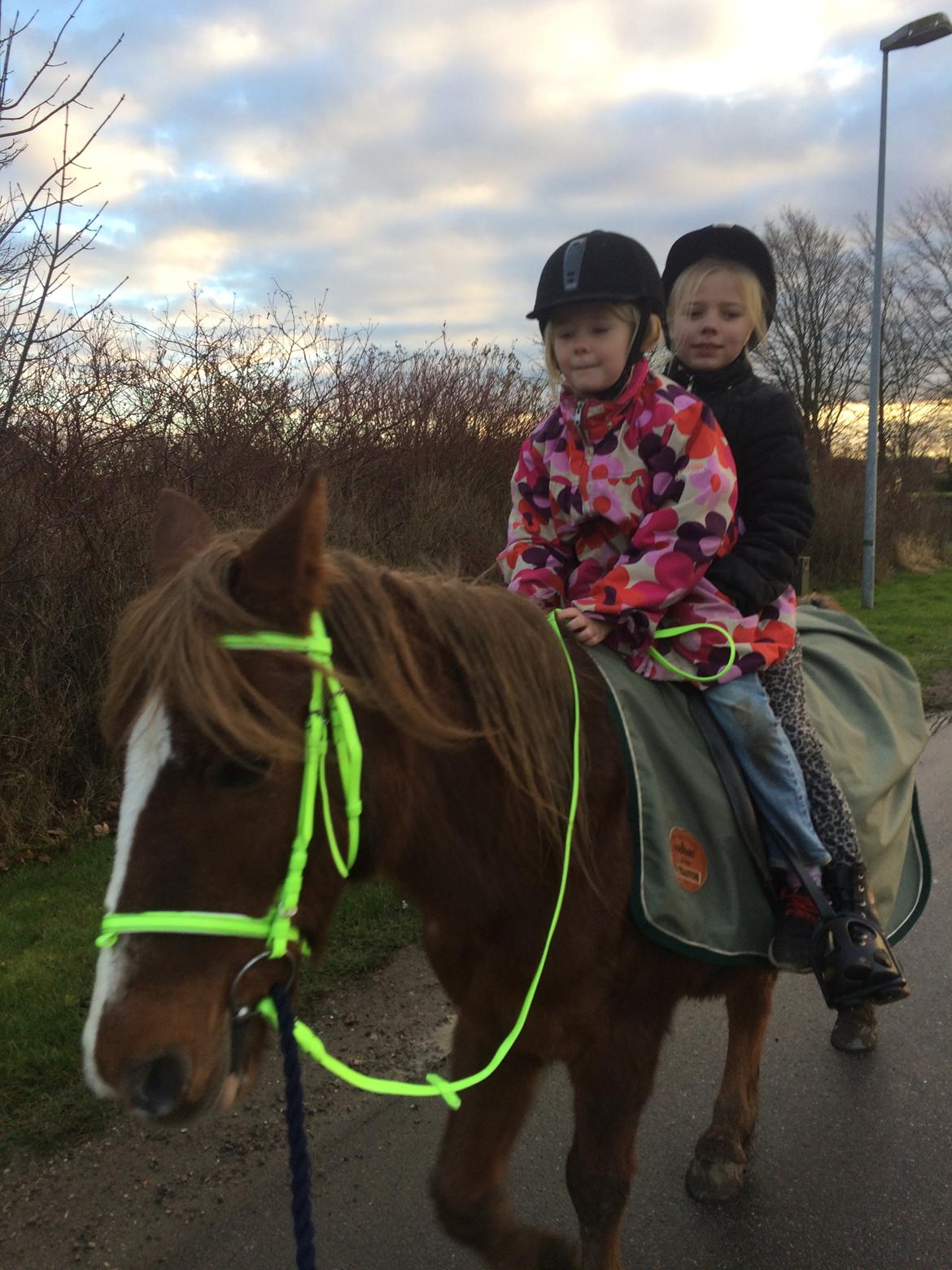 Anden særlig race Tjalfe<3 r.i.p 2021<3 billede 7