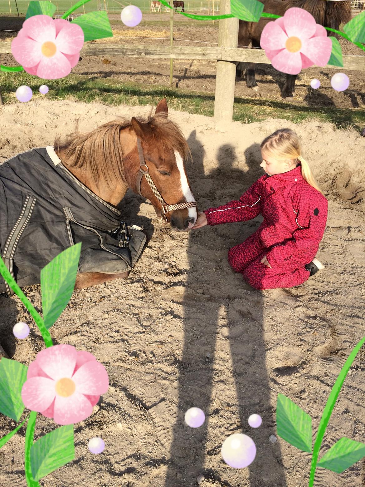 Anden særlig race Tjalfe<3 r.i.p 2021<3 billede 6