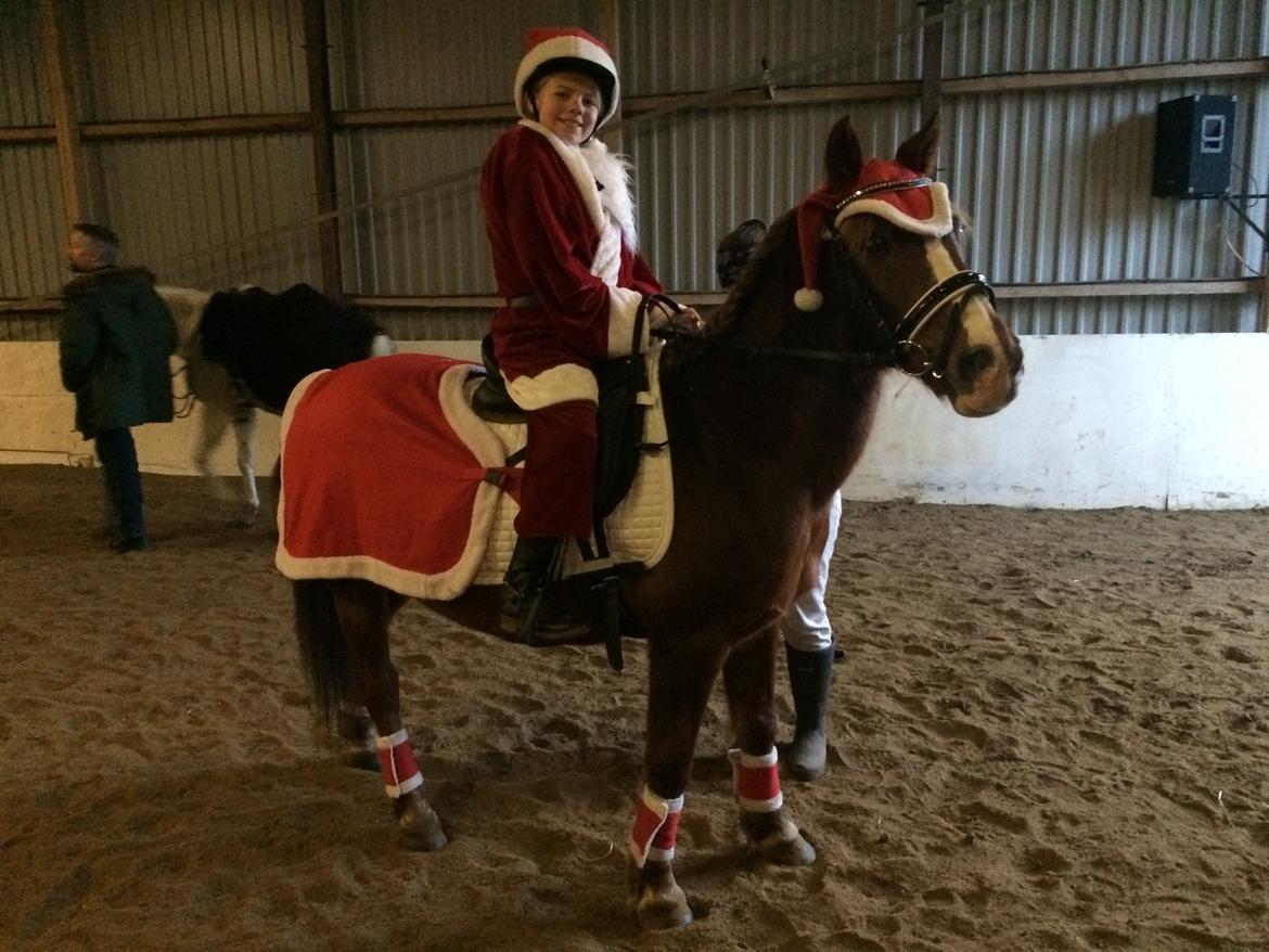 Anden særlig race Tjalfe<3 r.i.p 2021<3 billede 8