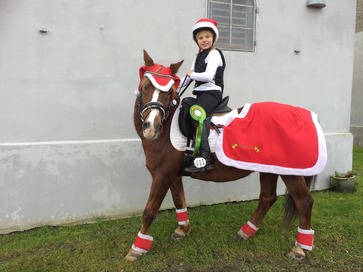 Anden særlig race Tjalfe<3 r.i.p 2021<3 billede 9