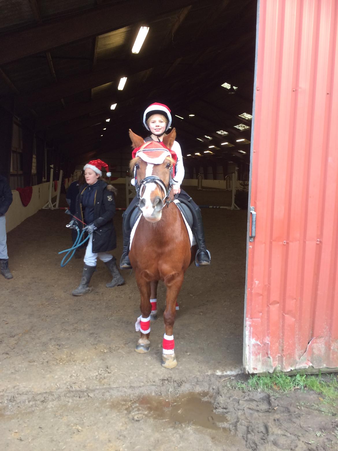 Anden særlig race Tjalfe<3 r.i.p 2021<3 billede 10