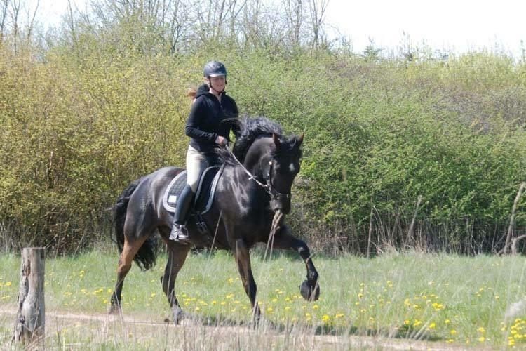 Anden særlig race Rumle billede 1
