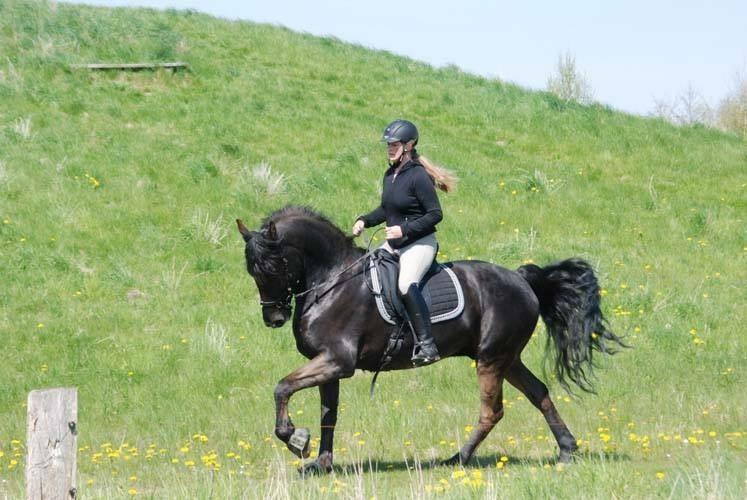 Anden særlig race Rumle billede 3