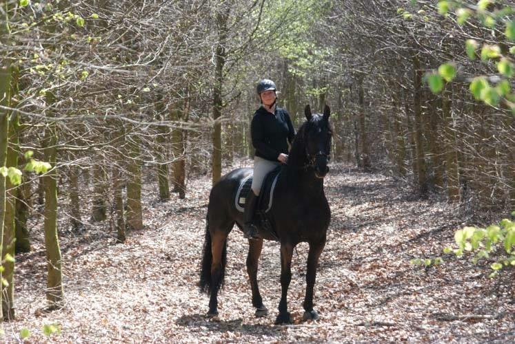 Anden særlig race Rumle billede 4