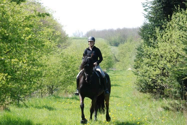 Anden særlig race Rumle billede 5