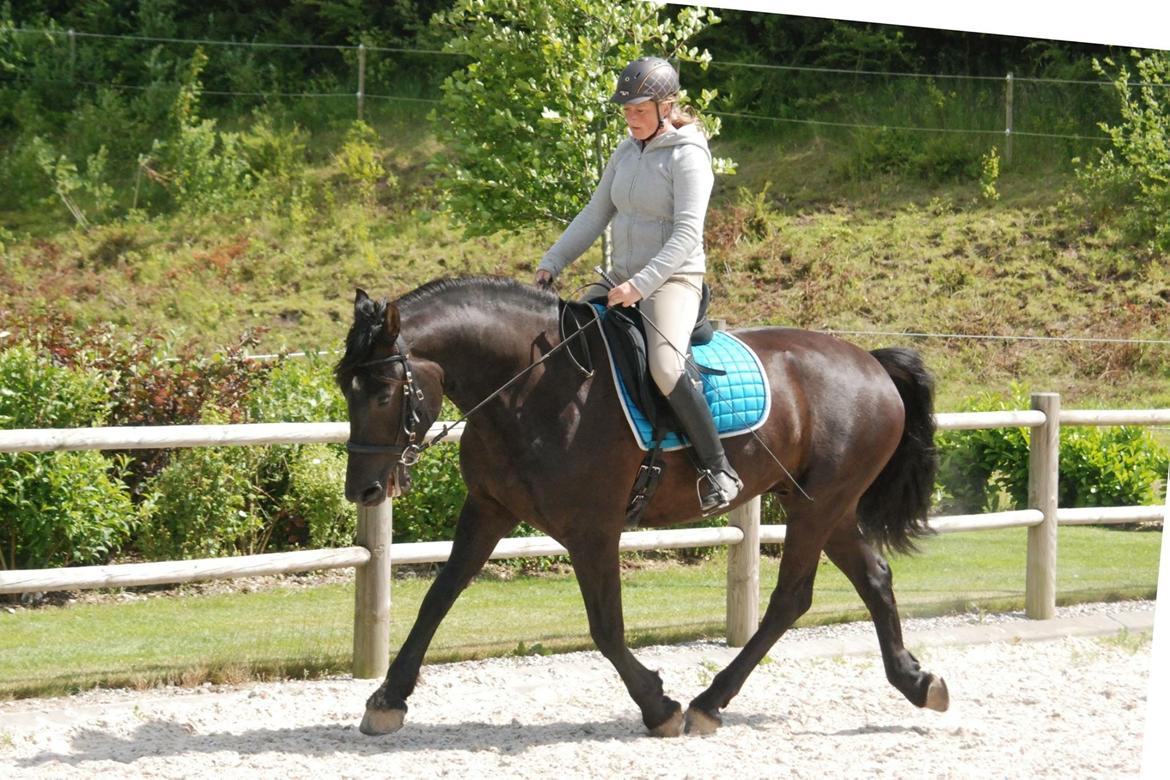 Anden særlig race Rumle billede 7