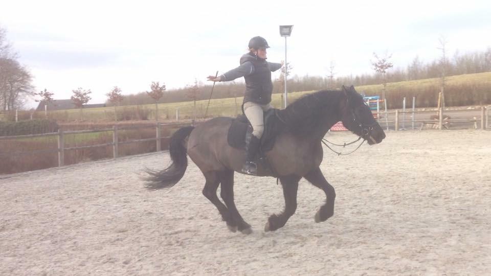 Anden særlig race Rumle billede 8