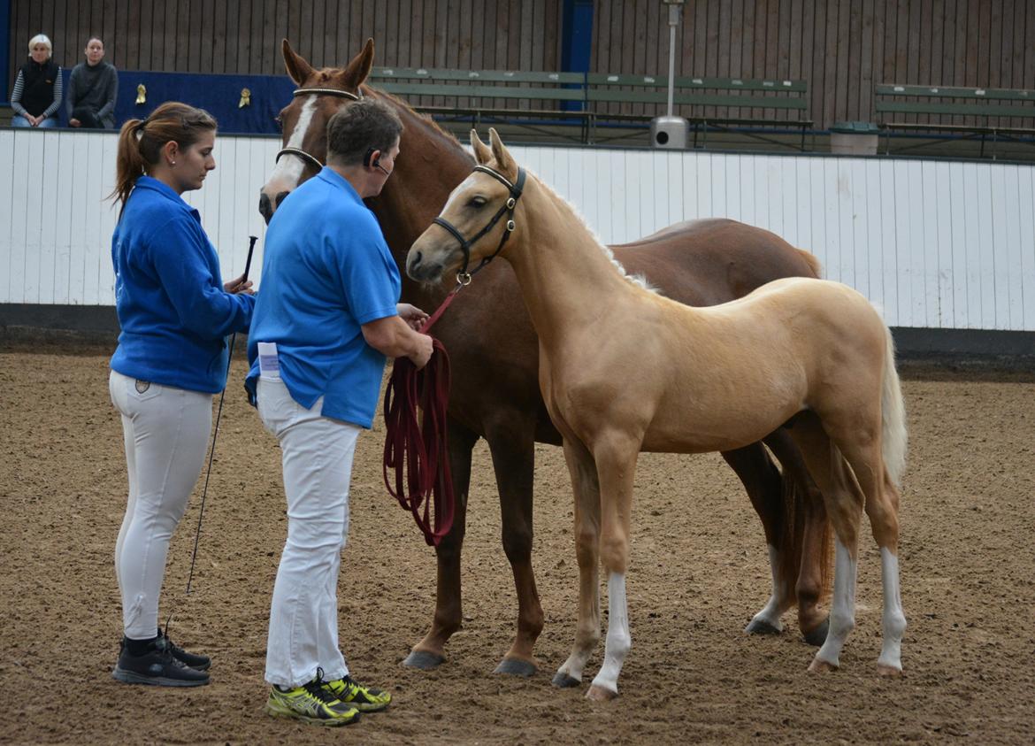 DSP Lykkebo Dirty Dancing billede 19