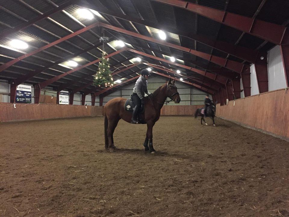 Anden særlig race Balu - store dreng billede 12