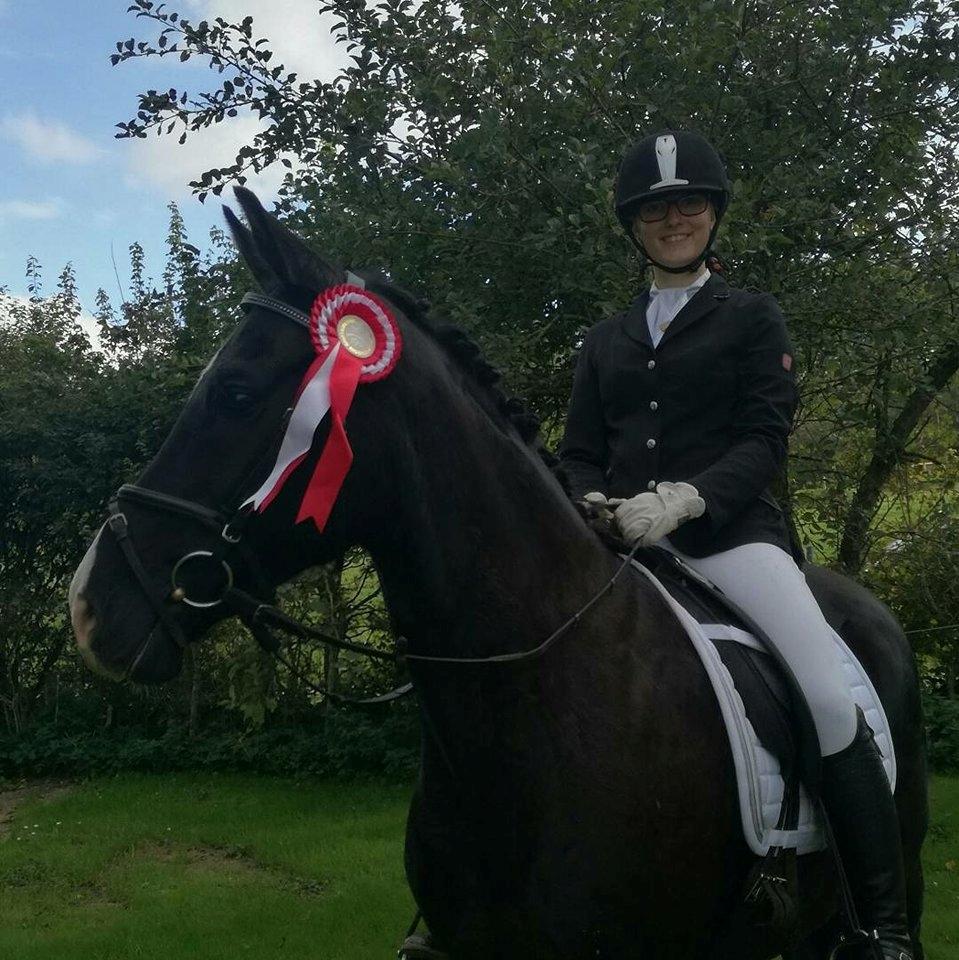 DSP Bæklunds Boy (pony jeg red) billede 7