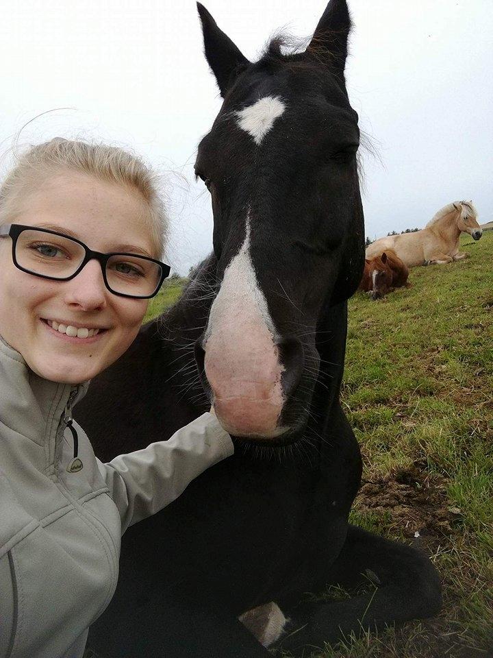 DSP Bæklunds Boy (pony jeg red) - Marktid = hyggetid <3 billede 3