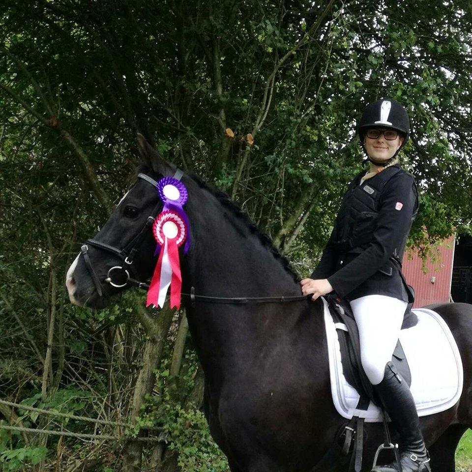 DSP Bæklunds Boy (pony jeg red) - En måneds samarbejde og mit første stævne i det nordjyske billede 1