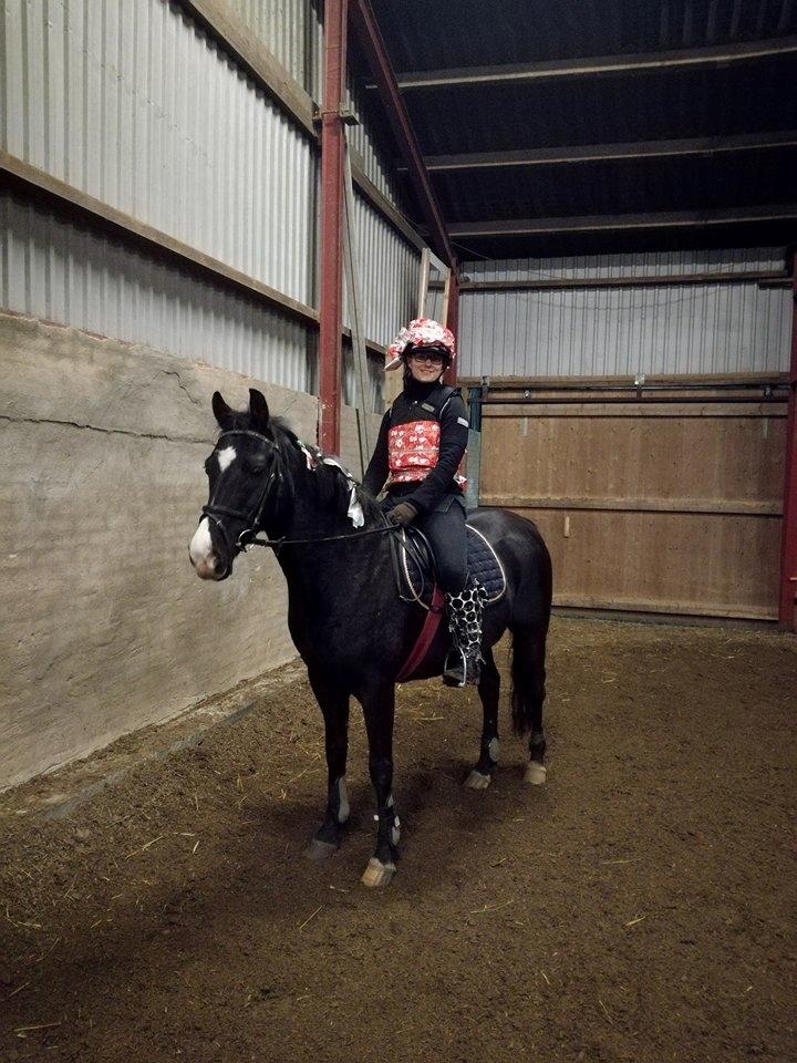 DSP Bæklunds Boy (pony jeg red) - Jokerspring blev vildt med alt det gavepapir viklet omkring os. Boy var lidt misstænksom men klarede dagen rigtig godt xD billede 8