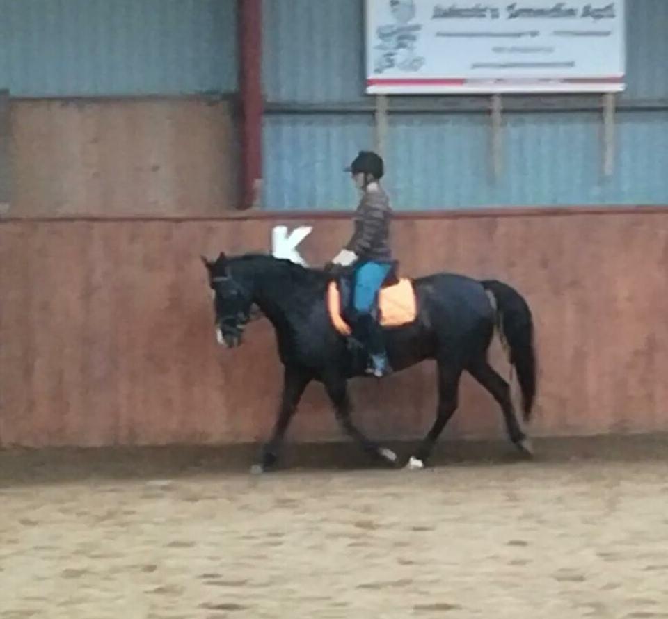 DSP Bæklunds Boy (pony jeg red) - Undervisning ved Carsten billede 2