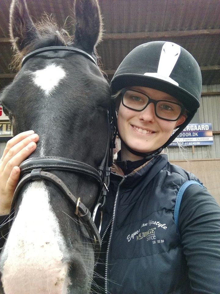 DSP Bæklunds Boy (pony jeg red) billede 6