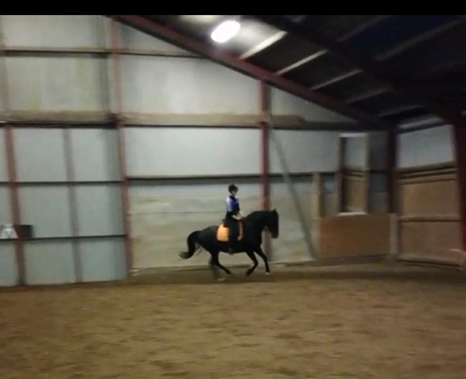 DSP Bæklunds Boy (pony jeg red) - ærgeligt billedet er utydeligt, for han gik bare hammer godt den dag  billede 9