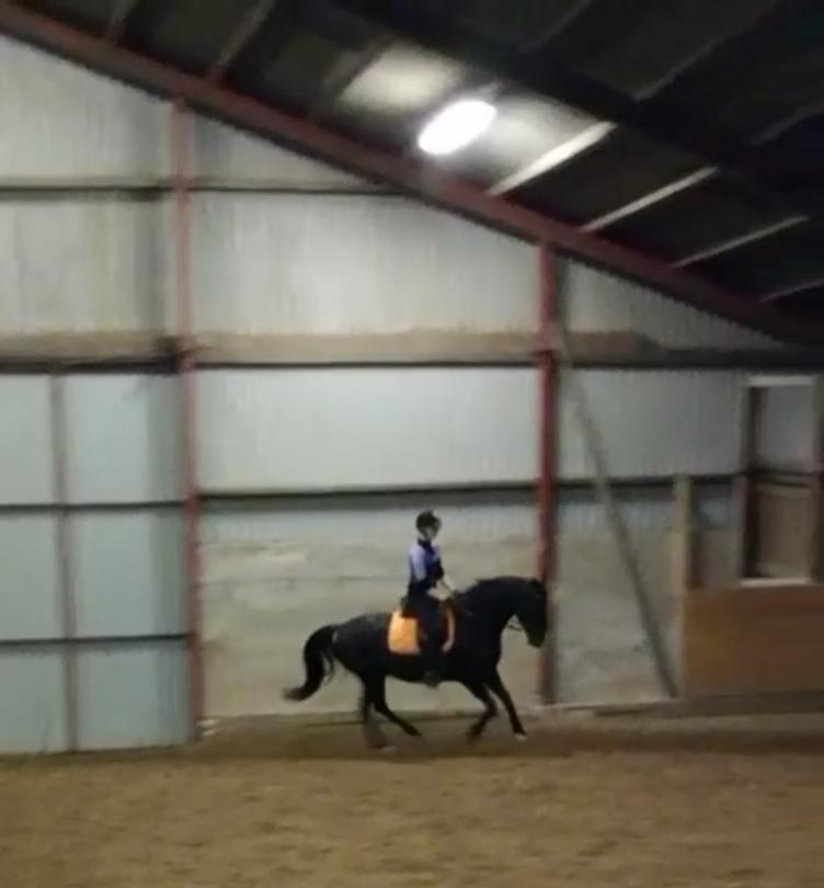 DSP Bæklunds Boy (pony jeg red) billede 10